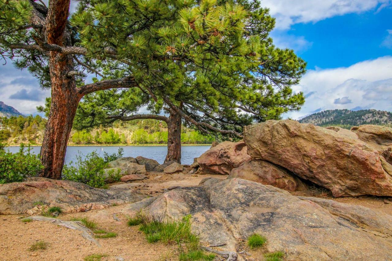 エステス・パークThe Pine Cone - Permit #3255アパートメント エクステリア 写真